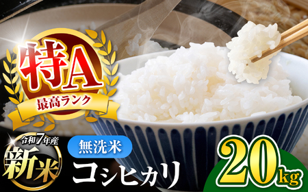 新米 無洗米 令和7年産 千葉県産 コシヒカリ 20kg 【 10月上旬以降発送 】 | コメ こめ お米 白米 ふっくら もちもち こしひかり おにぎり お弁当 千葉ふるさと蔵 イチオシ 千葉県 君津市 きみつ