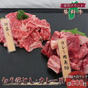 【ふるさと納税】【牛肉カレー用】信州蓼科牛の厳選部位切落しセット600g(300g×2パック)御代田町古越牧場産【配送不可地域：離島】【1297012】