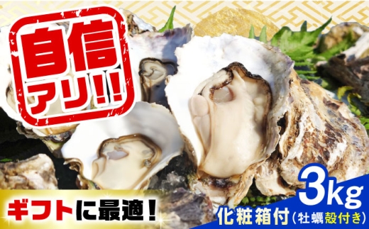 【5月14日（木）着】〈化粧箱入り〉生牡蠣 殻付き3kg 江田島市／株式会社門林水産 [XAO047-101]