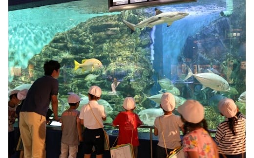 海浜水族館