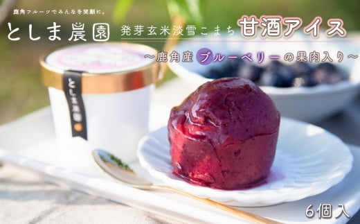 発芽玄米淡雪こまち甘酒アイス「ブルーベリー」6個入【としま農園】 新鮮 旬 県産ブルーベリー 国産ブルーベリー お中元 お歳暮 お取り寄せ 母の日 父の日 グルメ ギフト 故郷 秋田 あきた 鹿角 送料無料