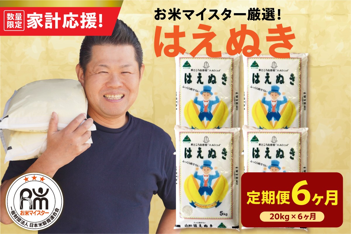 
                  【6ヶ月定期便】 令和7年産 はえぬき 20kg ( 5kg × 4袋 ) × 6回 計120kg 2025年産 精米 米 白米 ブランド米 お米マイスター 厳選 送料無料 山形県 米沢市
                
