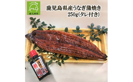 鹿児島県産うなぎ蒲焼き250g(タレ付き)【1185973】