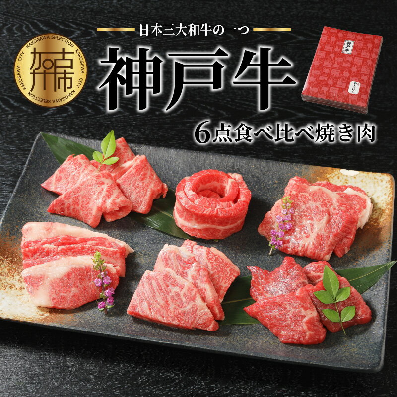 【ふるさと納税】【レビューキャンペーン】★選べる発送月★自社牧場直送神戸牛6点食べ比べ焼肉(600g)《 国産 焼肉 食べ比べ 牛肉 霜降り ロース ハラミ 三角バラ カルビ セット 詰め合わせ 選べる 選べる発送月 贈答用 ギフト 贈り物 》