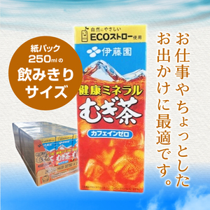 【6ヶ月定期便】健康ミネラルむぎ茶 250ml 24本 伊藤園 紙パック　麦茶 カフェインゼロ 1ケース24本 ドリンク 配達 仕送りギフト 防災 