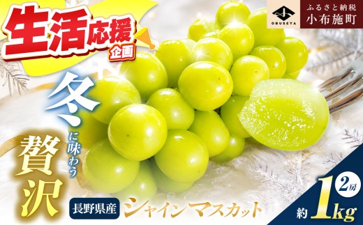 【 先行受付 】蔵出し冬のシャインマスカット 約1kg 2房 年内配送 ［小布施屋 ］長野県 ぶどう フルーツ 果物 冷蔵便 クール便 令和8年産【2026年12月発送】［A-526］