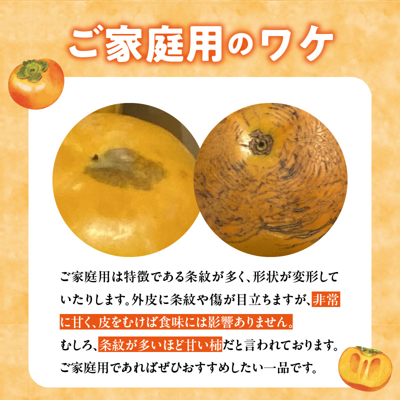【訳あり品】【10月発送】池尻農園 太秋柿 5～9玉 約1.8kg ご家庭用_訳あり品 池尻農園 太秋柿 5 ～ 9玉 約 1.8kg ご家庭用 柿 10月 最盛期 完全甘柿 早生品種 大玉 甘み 強