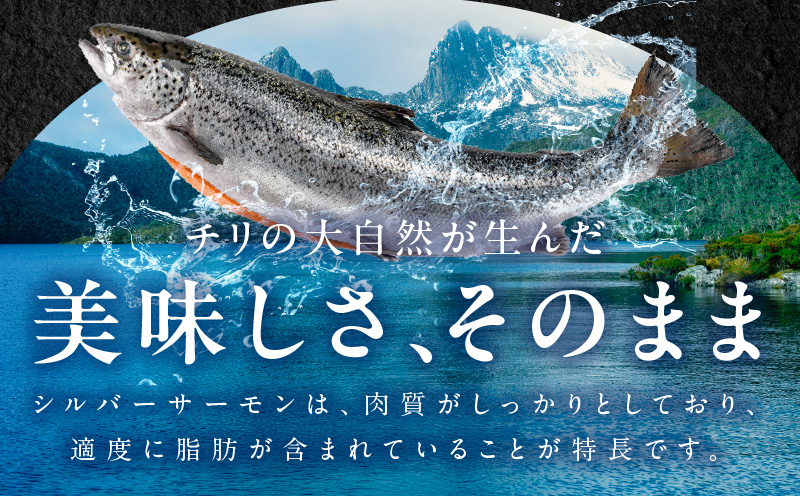 【訳あり】生食用 シルバーサーモン 2kg ポーション【小分け 4-8柵 サイズ不揃い 銀鮭 刺身用 お刺身 魚介 海鮮】 G1834