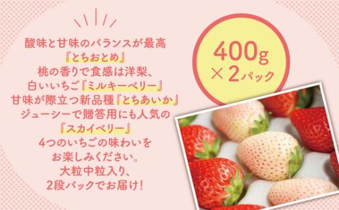 大満足4種食べ比べセット（とちおとめ、ミルキーベリー、とちあいか、スカイベリー）400g×2パック 800g｜先行予約 数量限定 ※2025年2月上旬～4月中旬頃に順次発送予定