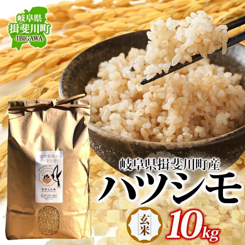 【ふるさと納税】自然尊重で育てた安全な美味しい自然米ハツシモ（玄米）10kg お米 ごはん ご飯 カレー 丼物 お弁当 すし飯 冷めても美味しい はつしも ななしん米 岐阜県 揖斐川町　お届け：2025年11月中旬～2026年7月下旬まで