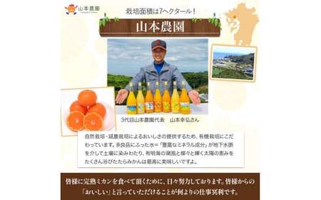 山本農園のクレメンティン 3kg 【2027年1月下旬～3月上旬】 クレメンティン みかん 柑橘 国産 オレンジ マンダリン 希少 ジューシー くだもの 果物 フルーツ 新鮮 贈り物 ギフト 佐賀県 