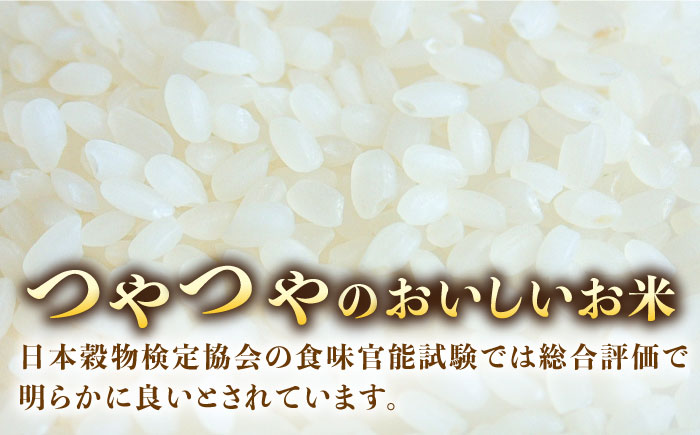 【先行予約】スイートミルク　５キロ【山口商店】[PEC002]