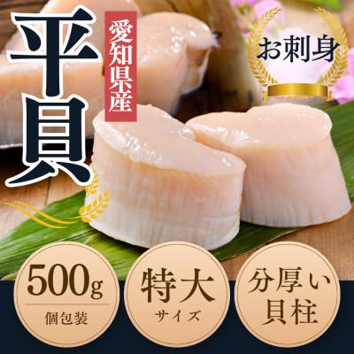 ふるさと納税 南知多町 【2025年 先行受付】 純国産 天然 平貝 特大サイズ むき身 セット 約500g 岬だより