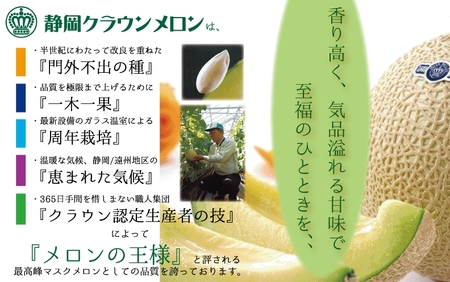 【毎月定期便】クラウンメロン(白等級) 小玉1玉 全4回 7124