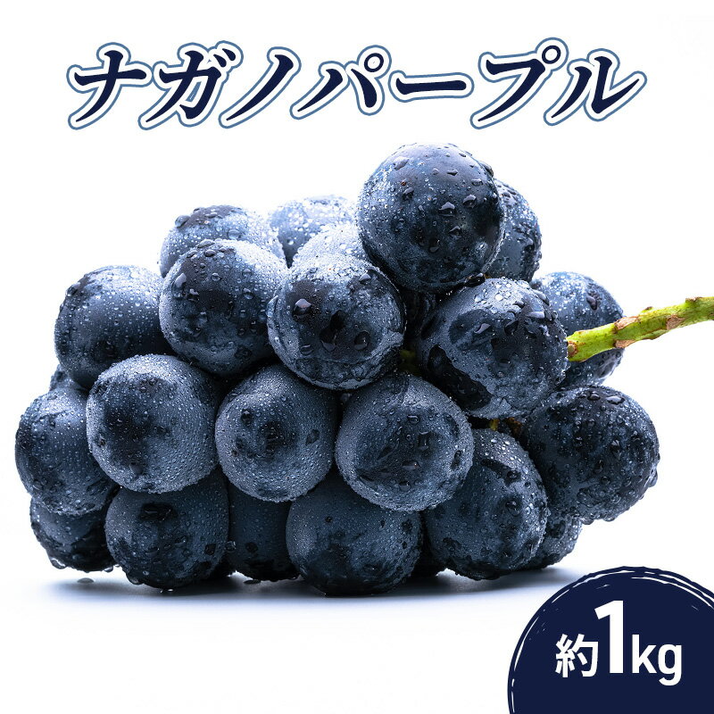 【ふるさと納税】ナガノパープル 1kg 果物 フルーツ ぶどう 長野県　お届け：2026年8月下旬～9月中旬