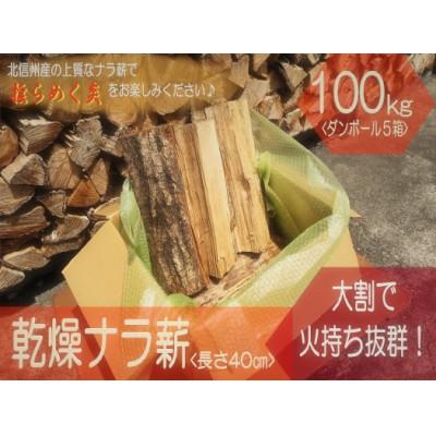 ふるさと納税 中野市 北信州産 乾燥ナラ薪100kg 大割(長さ約40cm)【複数個口で配送】