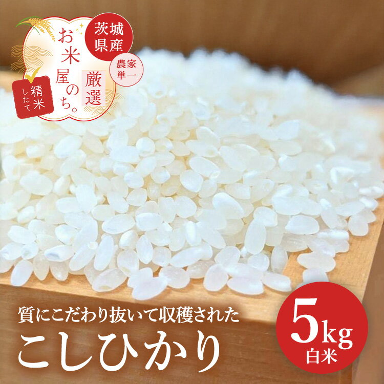 【ふるさと納税】お米屋が厳選した 農家単一の茨城県産 こしひかり 5kg ※離島への配送不可 ※2026年1月下旬～8月下旬頃に順次発送予定