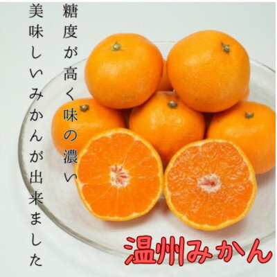 【ふるさと納税】愛媛県八幡浜産 極甘みかん 3kg【C96-1】【1670374】