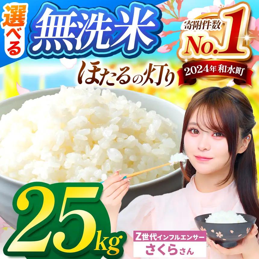 令和7年産 熊本県産 ほたるの灯り 無洗米 25kg | 選べる 銘柄 ほたるの灯り 森のくまさん 容量 5kg 10kg 15kg 20kg 25kg 30kg 特A 小分け  訳あり 規格外