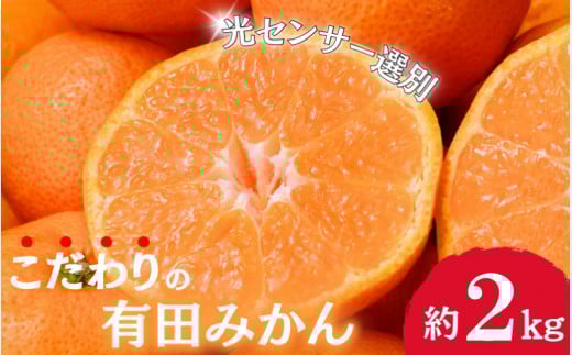 【2025年12月発送予約分】＼光センサー選別／農家直送 こだわりの有田みかん 約2kg＋250g(傷み補償分)【ご家庭用】【12月発送】みかん ミカン 有田みかん 温州みかん 柑橘 有田 和歌山 ※北海道・沖縄・離島配送不可/みかん ミカン 有田みかん 温州みかん 柑橘 有田 和歌山 産地直送【nuk159-12】