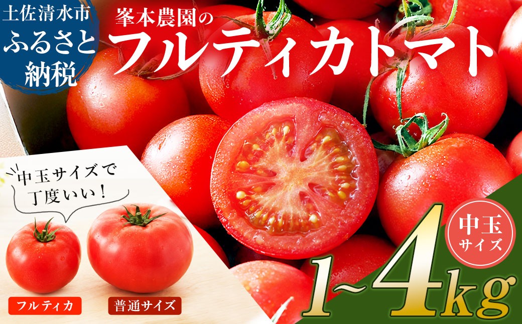
                  【11月発送】トマト魂！峯本の贅沢フルティカトマト（中玉サイズ）1~4kg 1~4キロ ミディトマト トマト ふるさと納税 フルティカ とまと サラダ 野菜 美味しい【R01409-1】
                