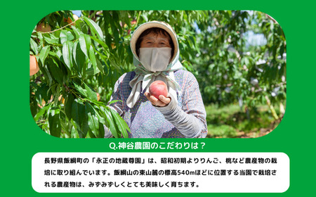 りんご 秋映 10kg 秀～特秀 永正の地蔵尊神谷農園 沖縄へは配送不可  2024年10月上旬から発送予定 長野県 飯綱町 [1862]
