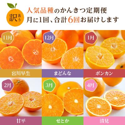 ふるさと納税 八幡浜市 【発送月固定定期便】愛媛の人気品種を厳選! 旬のかんきつ定期便(訳)全6回【H25-121】 |  | 01