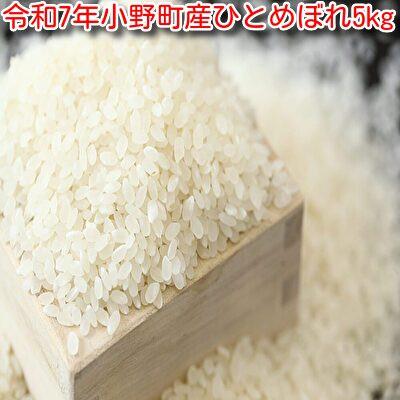 ふるさと納税 小野町 令和7年小野町産ひとめぼれ5kg　精米