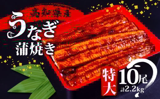 高知県産 うなぎ 蒲焼 220g×10尾 セット 養殖 鰻 うなぎ 蒲焼き かば焼き かばやき 惣菜 冷凍 真空パック 簡単調理 ME0092