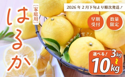 
            【 早期受付 期間限定 数量限定 】 はるか 3kg 5kg 7kg 10kg 家庭用 甘い 甘酸っぱい 人気 フルーツ 果物 くだもの 柑橘 みかん ミカン 高知県 高知 四万十市 四万十 しまんと 高知県産 お取り寄せ 【配送時期：2026年2月下旬～3月下旬】
          