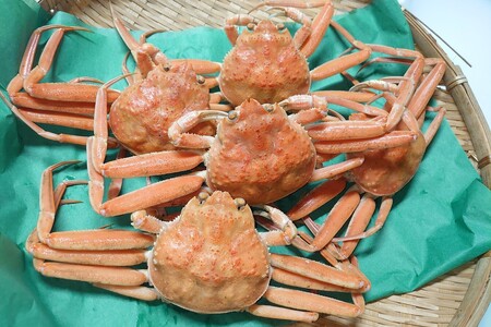 間人漁港仲買人の丸友鮮魚三代目・自慢の間人産セコガニ≪茹で≫10匹セット（1匹130g以上）