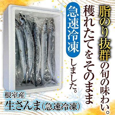 ふるさと納税 根室市 ＜12/21まで年内配送＞★冷凍さんま20尾 A-70003 |  | 01