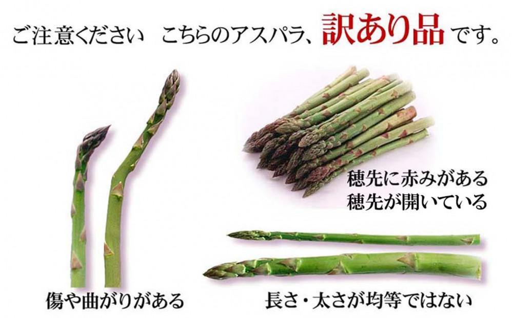 ◆2026年先行予約◆【訳あり】露地物朝採りアスパラ 750g×1 　鮮度保持フィルム入り(5月中旬発送開始予定) 【 アスパラ アスパラガス 朝採り とれたて 野菜 旬 小分け 保存 産直 産地直送
