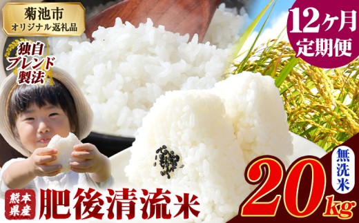 【12ヶ月定期便】熊本県産 無洗米 肥後清流米 20kg 熊本県産 ふるさと納税 精米 米 こめ ふるさとのうぜい コメ お米 おこめ《1月から出荷開始》