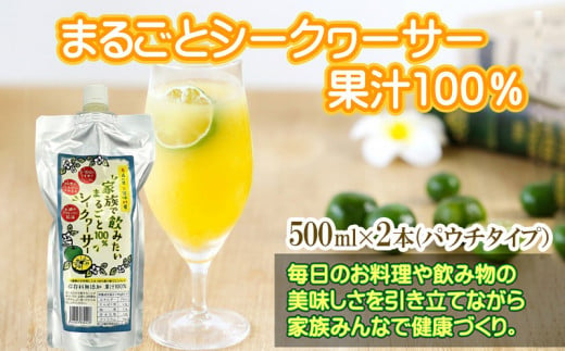 
家族で飲みたいまるごと100％シークヮーサー500ml×2本(パウチタイプ）
