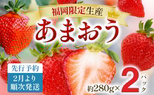 【先行予約2月より順次発送】あまおう グランデサイズ以上 約560g（約280g×2パック） 苺 イチゴ いちご フルーツ 果物 ふるさと納税くだもの ブランド くだもの 福岡県産