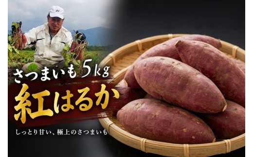 【紅はるか・さつまいも】紅はるか  5kg 《11月中旬～12月31日発送予定》| 紅はるか芋 紅はるかさつまいも 焼き芋紅はるか さつまいも野菜 べにはるか やさい ミネラル 長期保存 産地直送 国産 九州 大分県 豊後高田市