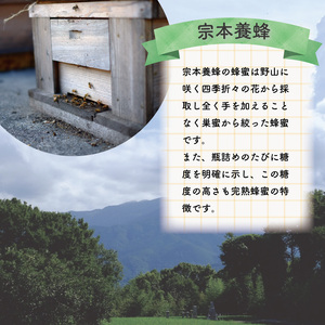 はちみつ 天然 300g 2個 はちみつ