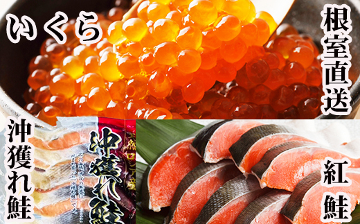
                  E-70002 甘塩紅鮭5切×10P、甘塩沖獲れ鮭5切×10P、いくら醤油漬け100g×5P
                
