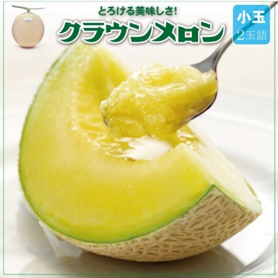 【通年出荷】クラウンメロン(小玉) 2玉詰【配送不可地域：離島・北海道・沖縄県】