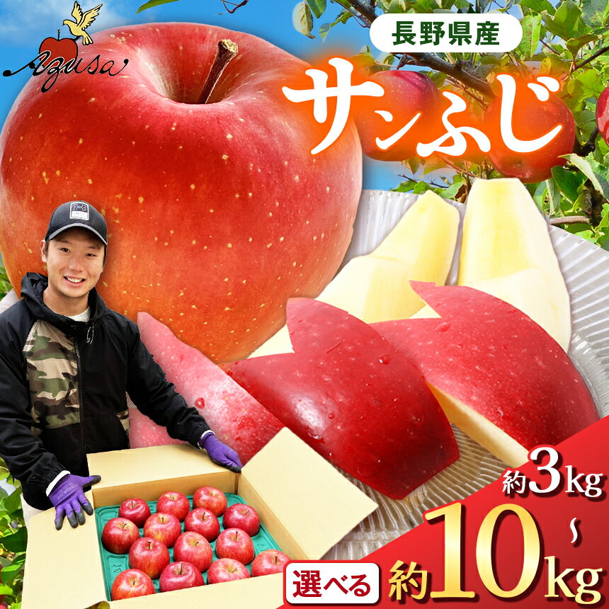 【ふるさと納税】【 選べる 】サンふじ3kg～10kg｜ふるさと納税 松本市 サンふじ 果物 林檎 りんご 果物 フルーツ 信州 美味しい