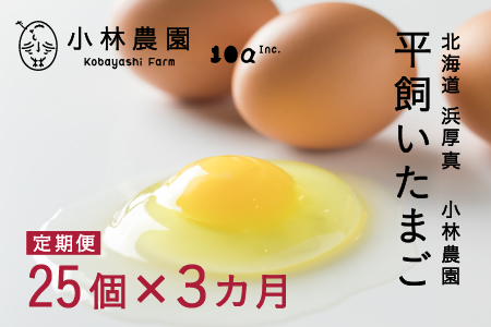 【1020】３ヵ月定期便！こだわりの無投薬･平飼い有精卵 ＜毎月２５個×３ヵ月お届け＞