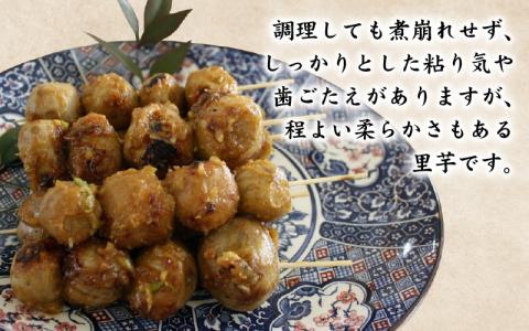 【先行予約】【訳あり】越前大野産 「純ちゃん農園の里芋3kg」サイズS～LL寸【10月中旬より順次発送】