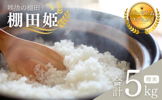 【令和7年産】姨捨 の 棚田 プレミアム コシヒカリ 「 棚田姫 」 5kg モリ電子 米 白米 精米 棚田米 長野県 千曲市 おばすて 信州