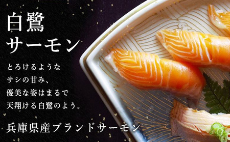 プロが選んだめちゃうま 白鷺サーモンしゃぶしゃぶセット　4～5人前（約600～650g） 魚貝類 鮭 鍋セット 