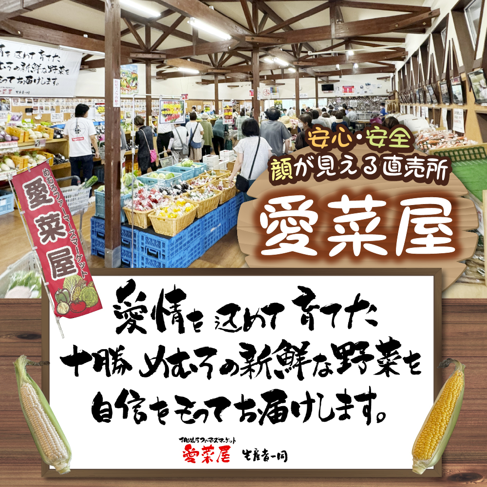 【先行受付】【2026年10月より配送予定】北海道十勝芽室産 たまねぎ10kg 1箱 me002-023-26c