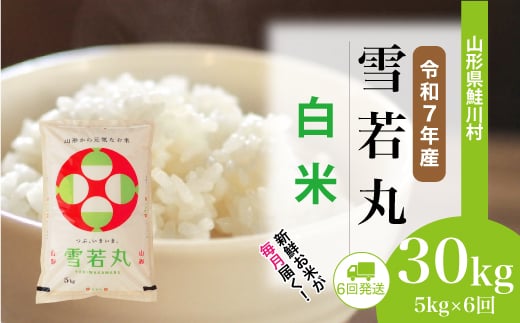 ＜令和7年産米＞ 雪若丸 【白米】 定期便 30kg （5kg×1ヶ月間隔で6回お届け）＜配送時期選べます＞　山形県鮭川村