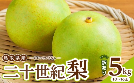 【2026年度発送 先行予約】訳あり 二十世紀梨 5kg【梨 なし 家庭用 訳アリ 二十世紀 果物 フルーツ 5キロ 新鮮 鳥取県 北栄町 おすすめ 人気】