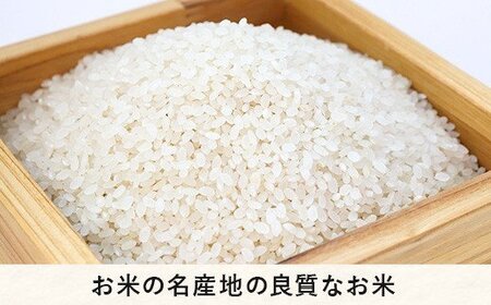 米 こしひかり 10kg × 6回 【 6か月 定期便 】( 令和7年産 ) 2025年10月上旬頃から順次発送予定 米澤商店 コシヒカリ 白米 精米 長野県 飯綱町 [1246]