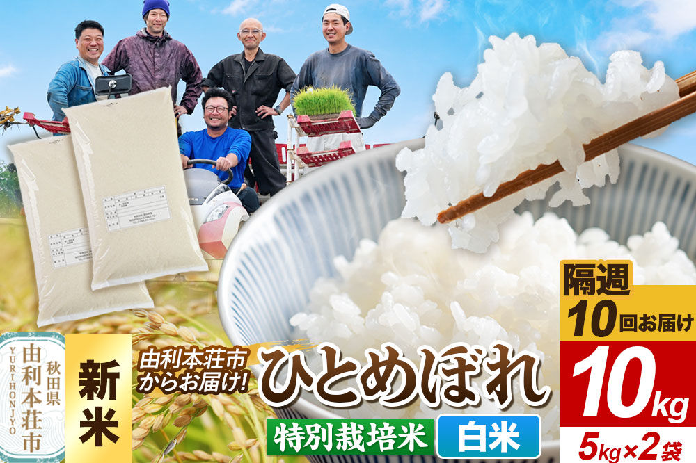 ＜令和8年産 新米＞《2週間毎お届け》【定期便10回】【白米】ひとめぼれ 10kg（5kg×2袋）特別栽培米   秋田県産 [ひとめぼれ 新米 米 お米 白米 精米 特別栽培米 ブランド米 食卓 おに